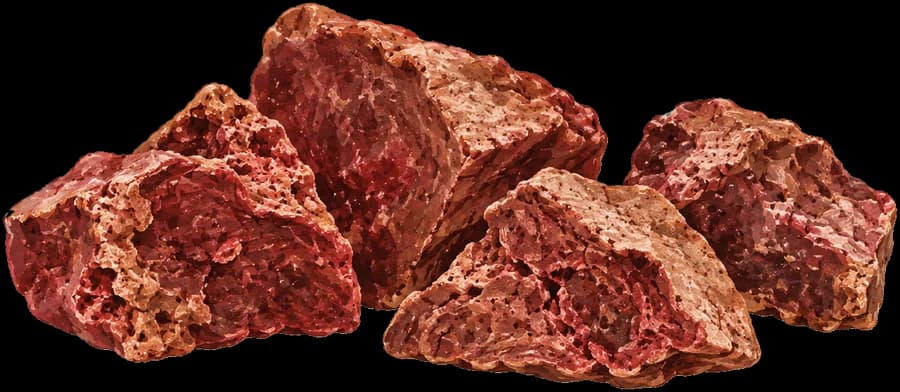 Chicken Liver